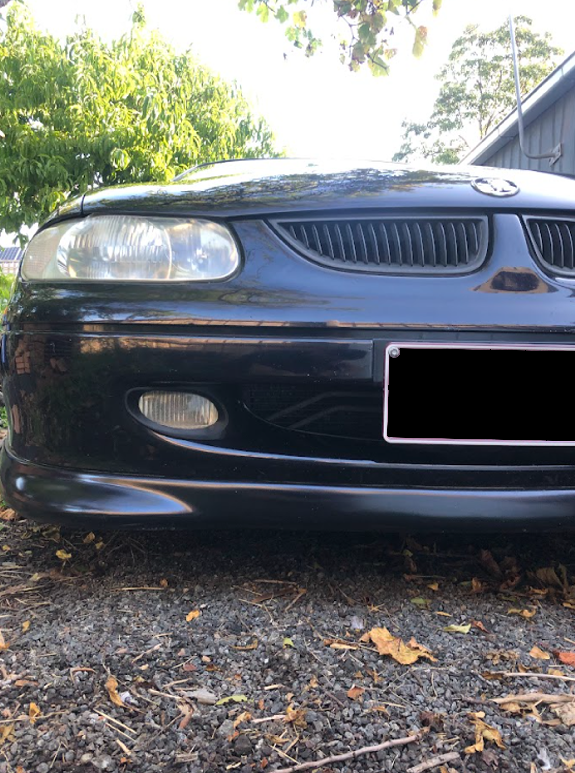 VT SS/Calais fog light bezel image 5